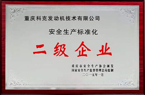 安全生產標準二級企業(yè)