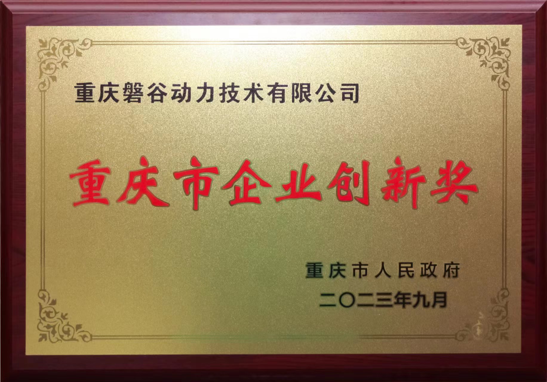 重慶市企業(yè)創(chuàng)新獎(jiǎng)